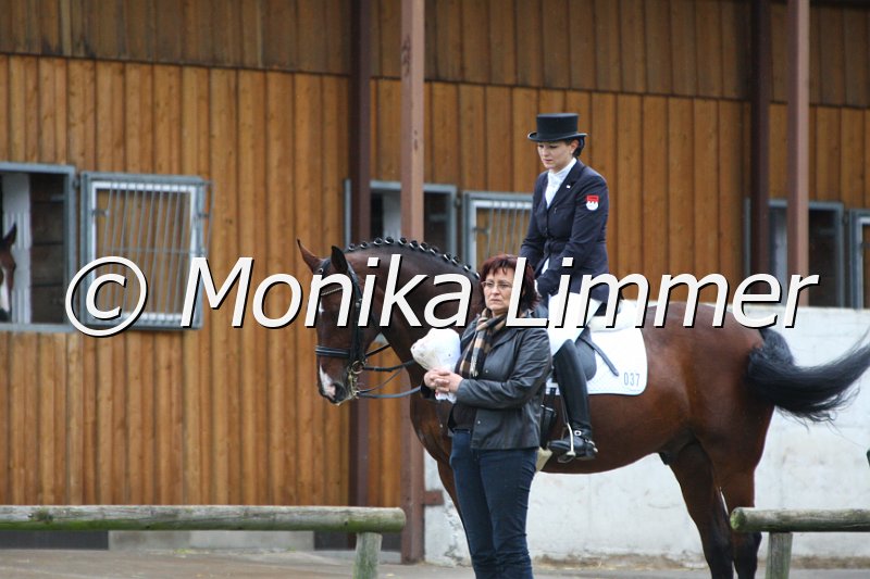 009M7831_Don Argentinus_Dressur M.JPG